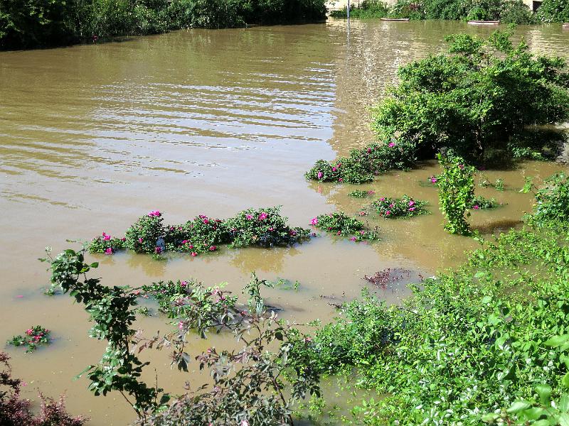 Hochwasser (161).JPG